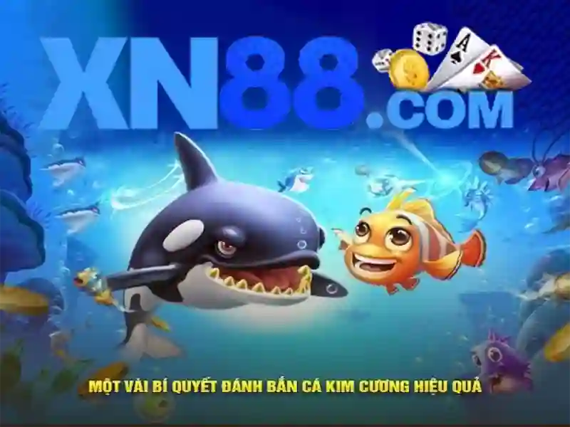 Trải nghiệm người dùng và phản hồi cộng đồng