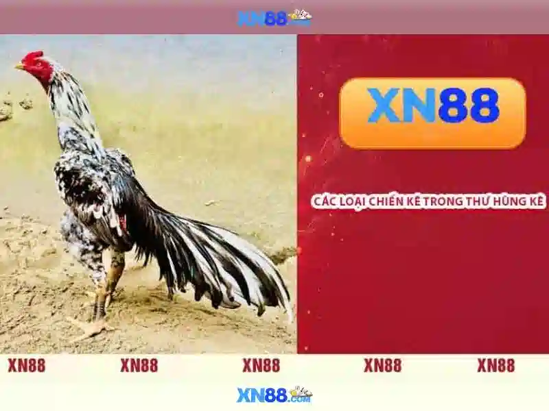 xn88 voq33.za.com – Tổng quan chủ đề và giá trị cốt lõi