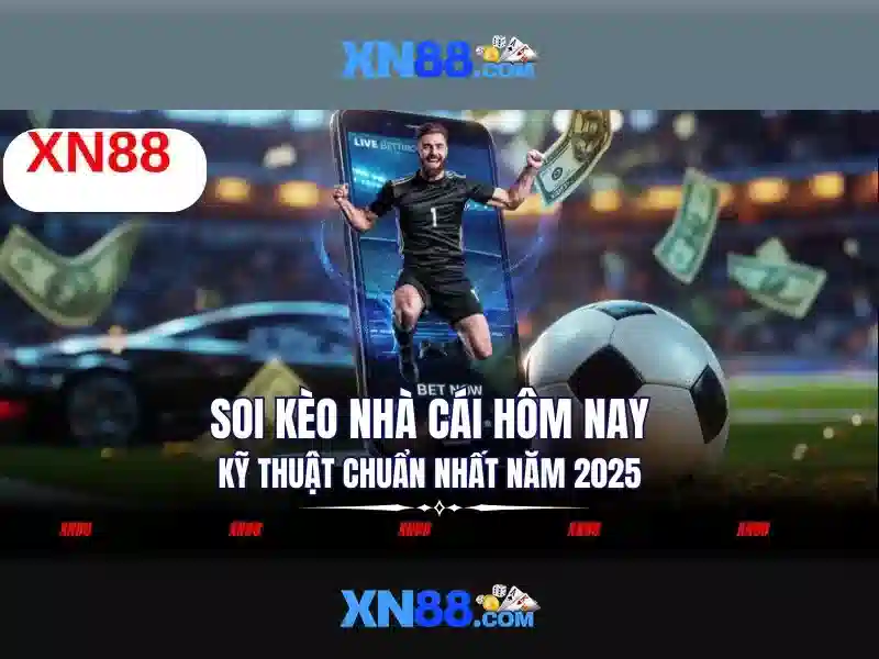 Trải nghiệm người dùng và phản hồi cộng đồng