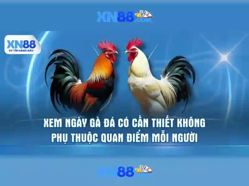 Biểu đồ tuân thủ 16 năm của xn88  