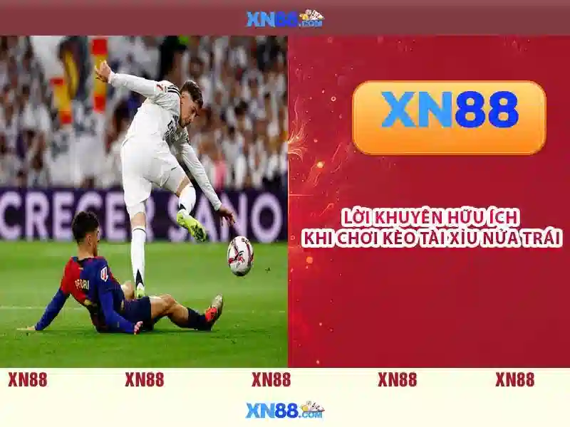Kết luận và khuyến nghị