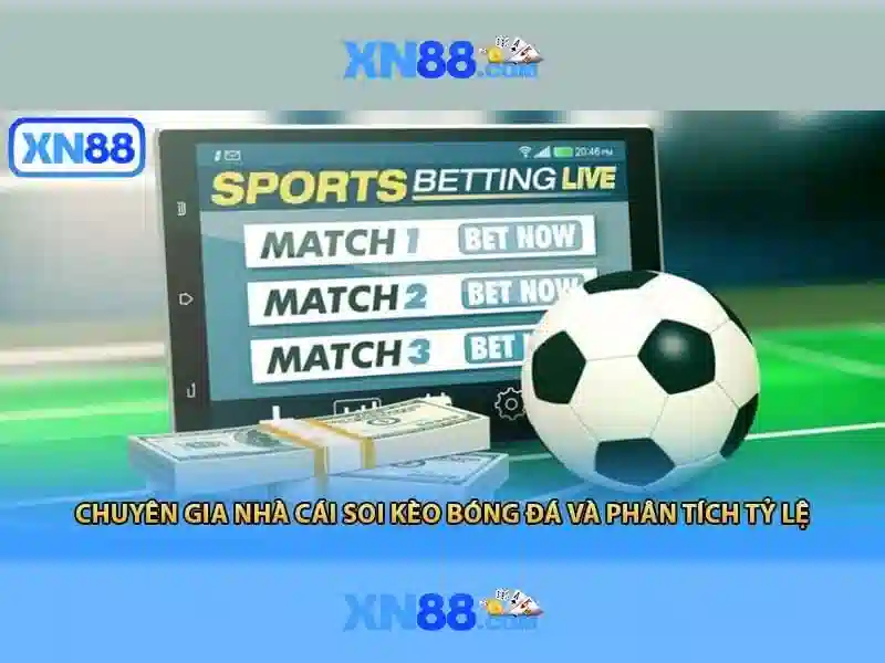 xn88 c – Tổng quan chủ đề và giá trị cốt lõi