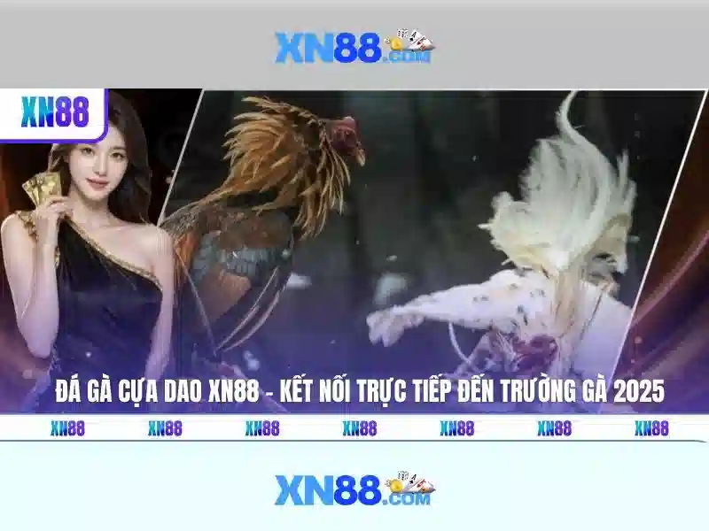 The_thao_va_cac_loai_cuoc_an_toan