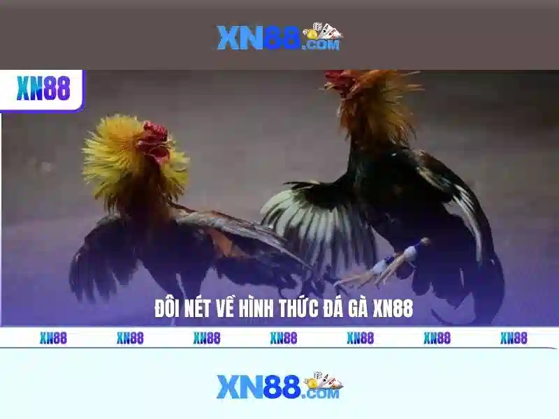 xn88 slot login – chủ đề và giá trị cốt lõi