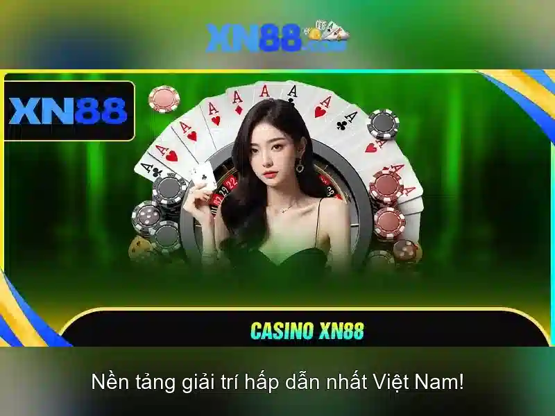 'Trải nghiệm người dùng và phản hồi cộng đồng'