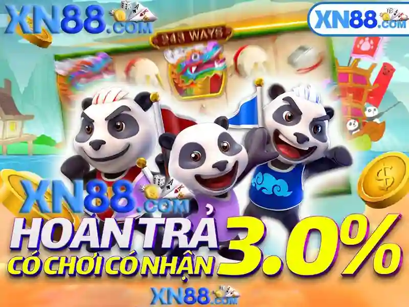 Trải nghiệm người dùng và phản hồi cộng đồng